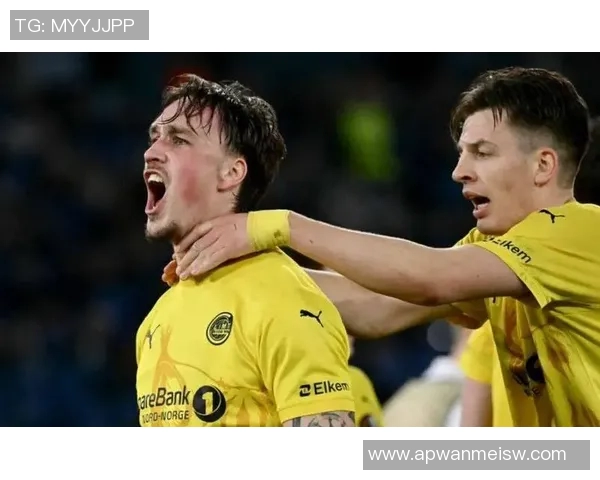 沃尔夫斯堡客场大胜弗赖堡，继续保持胜利势头！